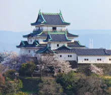 Bild vom Schloß Wakayama in Japan